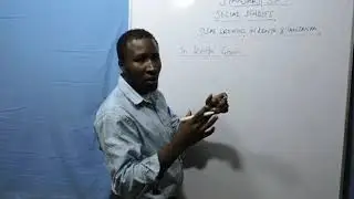 Class 6 - Social Studies (Sisal Growing In Kenya And Tanzania)
