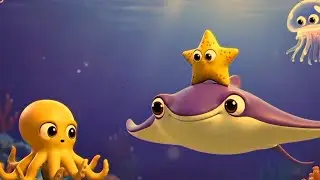 Swim With The Sea animals - 