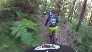 Into the jungle - North shore - Madeira enduro/downhill