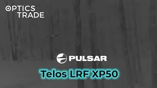 Owl with Pulsar Telos LRF XP50 | Optics Trade See Through