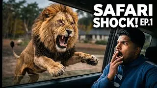 Beekse Bergen Safari Park 🦁 | Netherlands Wildlife Safari | Tamil Travel Vlog | Episode 1