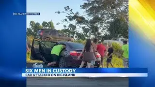 Multiple arrests in car attack prompt Big Island police plea to the public
