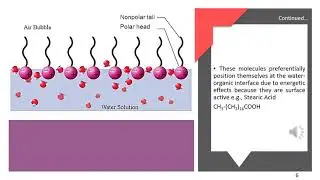Surface Active Agents (Surfactants)