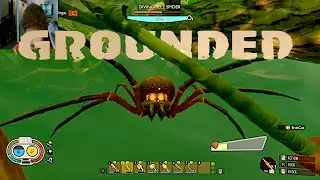 Grounded EP 8 Preparing For THE POND BASE