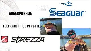 Telekhalmi s&uuml;g&eacute;rpar&aacute;d&eacute; - amikor &ouml;sszej&ouml;n a matek a Kuns&aacute;gin! | Strezza Fishing