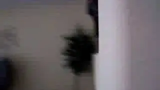 munkey boy!