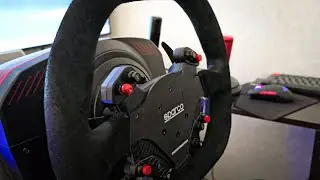 thrustmaster ts-xw racer sparco p310