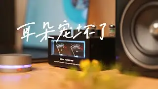2K档表现惊喜！是我要的声音！｜Douk Audio T6 Pro复古蓝牙胆机功放｜Jamo C705书架音箱
