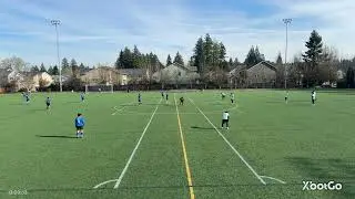 Blue Panda Squad v Tortas FC 1/25/2026