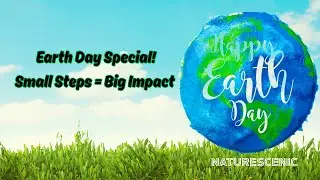 World Earth Day 2025 🌍 | Theme: Our Power, Our Planet | Simple Ways to Help the Earth | Naturescenic