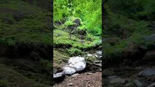 #naturalbeauty #nature #viral #naturelovers #naturechannel