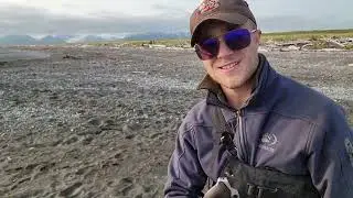 Гризли поедают сброшенный на побережье Аляски кит.