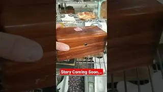 Lane Hope Chest...  #furniturerestoration  #howtorestore #restoration #vintage #youtubeshorts