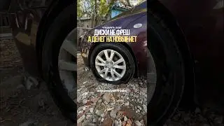 Reviving an Old Mazda. Part 3 / #mazda #mazda3 wheels