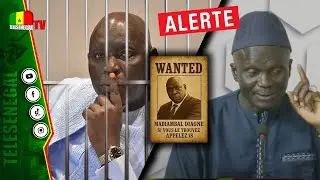 L&rsquo;analyste politique Assane Samb livre des informations hautement secr&egrave;tes sur Madiambal Diagne