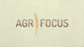 AGRIFOCUS: le energie rinnovabili