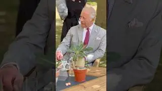 The King has recorded a special podcast episode to celebrate 25 years of the Millennium Seed Bank 🌱