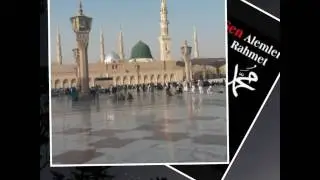 Celaleddin Ada Dilim Tutulur