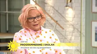 Programmering blir obligatoriskt i skolan: &rdquo;Nu kanske vi &auml;ntligen f&aring;r b&auml;ttre ut - Nyhetsmorgon (TV4)