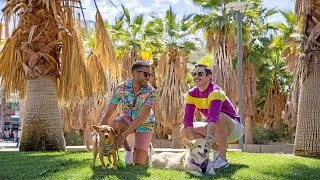 Visit Palm Springs Campaign Video: Dogs Getaway