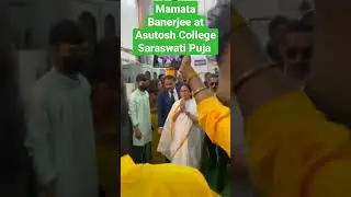 CM Mamata Banerjee at Asutosh College Saraswati Puja #shorts #youtubeshorts #ytshorts
