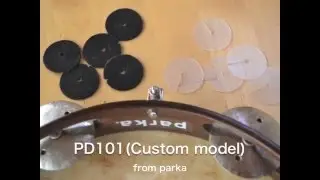 PD101(Custom made model)