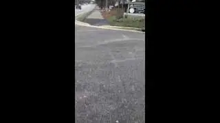 Falls of Neuse part 1