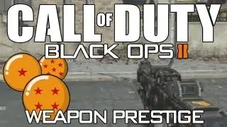 Black Ops 2 - Weapon Prestige (Helpful Tips)