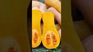Best 6 Starchy Vegetables #shorts