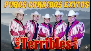 Los Terribles Del Norte - 30 Grandes Exitos de los Corridos 2026 / Mix Para Pistear✅Inolvidables