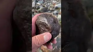 Why are meteorites worth millions 💰💰🏔️