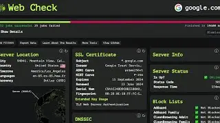 web-check | Do you know this tool | bug hunter