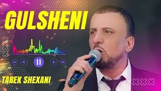 Tarek Shexani 2025 | Gulsheni | طارق شيخاني جديد | كولشين