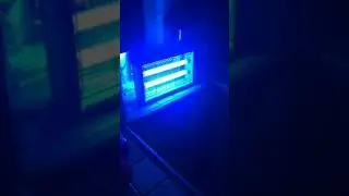 Electronic Indoor Insect Killer