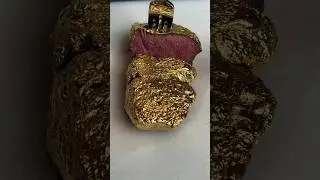 Gold-Coated Steak: Genius or Waste of Money? 