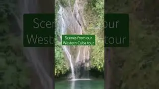 6 day Western Cuba tour 💚🌴 #cuba #cubatours #travel