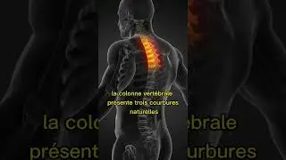 Documentaire - Hyperlordose #hyperlordose #dos #douleurs #douleurchronique #blessure