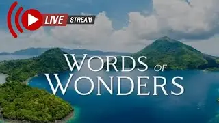 SORE GUYS LANJUT LAGI - WORDS OF WONDERS #live #feedshorts #wow