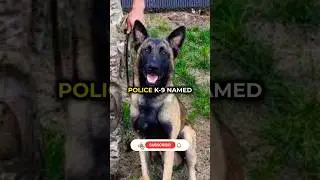 Texas Deputy Killed and K9 Shot by Scum