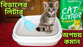 লিটার ব্যবহার করাই যেভাবে/অপচয় কমান।How to clean cat litter. কিভাবে লিটার পরিষ্কার করি #catlitter