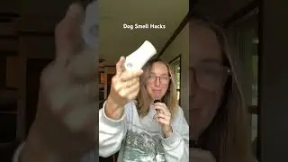 How to prevent your house from smelling like dog!