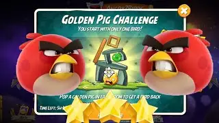 Angry Birds 2 Golden Pig Challenge Red's Rumble | Angry Birds 2 