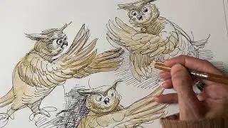 A quick study of an owl #artinstruction #arttutorial #drawing #coloredpenciltutorial 