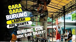 GARA-GARA BURUNG🤣🤣Juri Wanita cantik MAHADEWI Dilabrak PRIA JENGGOTAN #kicaumania #muraibatu