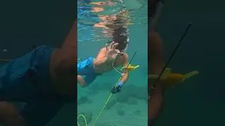 Как заниматься подводной охотой
