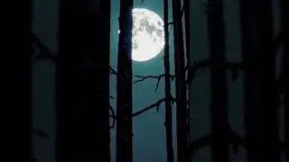 Blueberry Juice Short Teaser - Folk Noir #indie #goth #music #indiefolk #ethereal