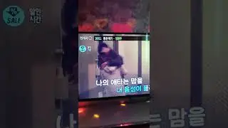 풍운애가-임형주 일반인노래방커버
