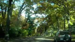 Fall Colors Madison