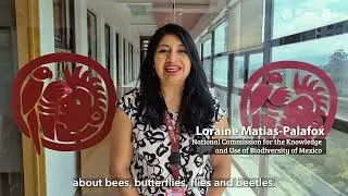 Latin America and the Caribbean in Action for Pollinating Insects Through the Project Poli-LAC