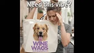 Think Pawsitive 🐾 Best Funny Dog Mom Shirt 2025
